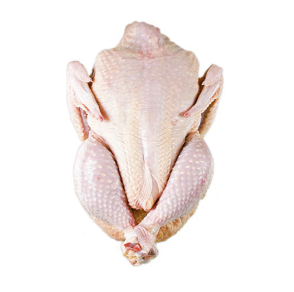 Premium Supplier Halal Frozen Whole Chicken Halal Chicken Processed Meat From Brazil - Image 4