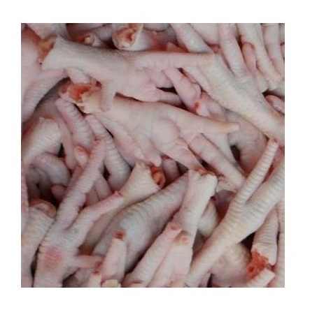 Halal Chicken Feet / Frozen Chicken Paws Brazil / Fresh Chicken wings - Image 4