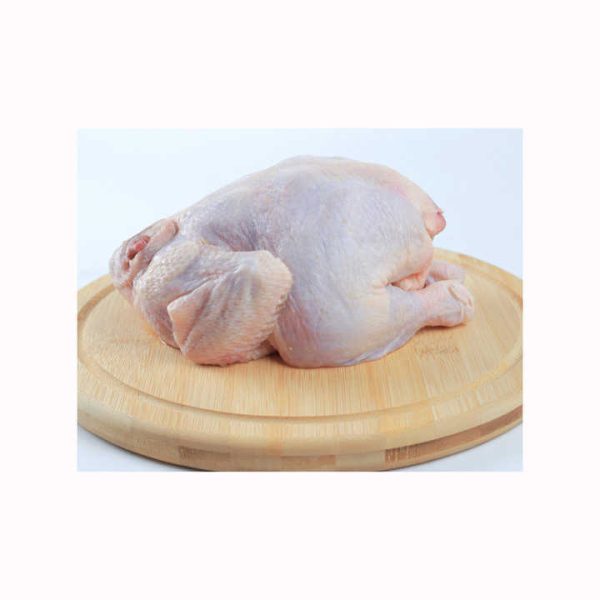 Quality Halal Frozen Chicken Gizzards chicken Gizzard Whole Chicken / Chicken Offals / Chicken Gizzards supplier - Image 2