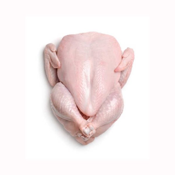 whole chicken ckj Hot sale Frozen Whole Chicken Premium Supplier Halal Frozen Whole Chicken Halal Processed Meat from Brazil - Image 4