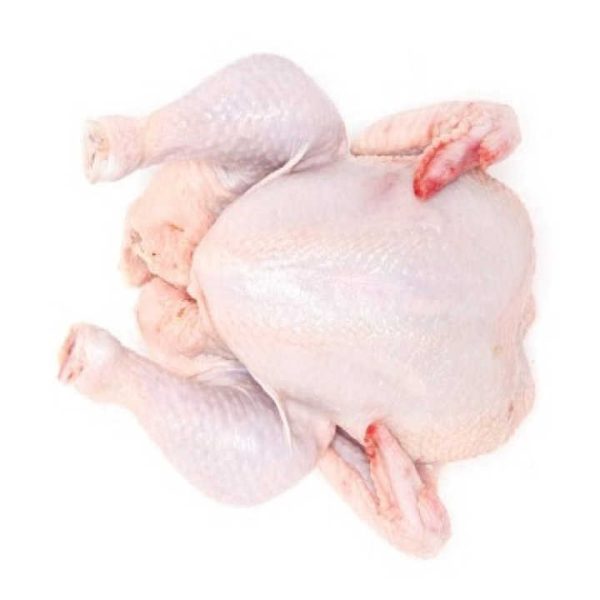 Top Brazilian / High Quality Halal Frozen Whole Chicken | Wholesale Halal Frozen Whole Chicken for Sale - Image 4