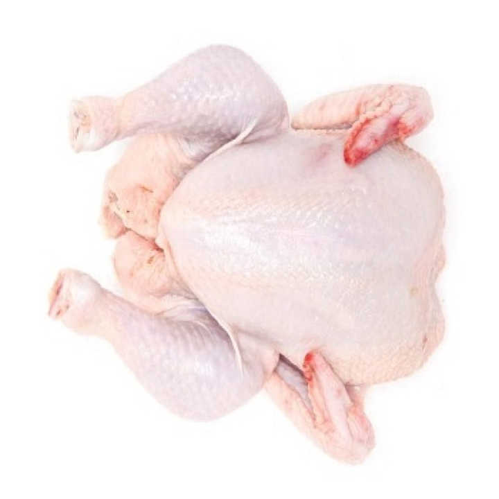Top Brazilian / High Quality Halal Frozen Whole Chicken | Wholesale Halal Frozen Whole Chicken for Sale - Image 4