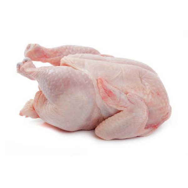 Wholesale halal frozen whole chicken with and without giblets body chicken style packaging Premium Grade Halal - Image 6