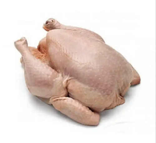 Perfect Premium Grade Frozen Whole Chicken Quality Frozen Whole Chicken and Parts Frozen Whole Chick - Image 2