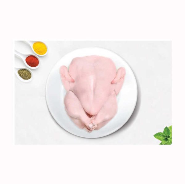 / Frozen Whole Chicken / Frozen Chicken Legs and Wings Top Quality Halal Frozen Whole Chicken / Breast and Paws - Image 3