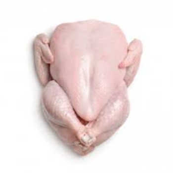 High Quality / Top Brazilian / Best Quality Healthy and Natural Whole Chicken Halal Frozen Whole Chicken From Turkey Poultry Meat Chicken with Customize Pack - Image 6