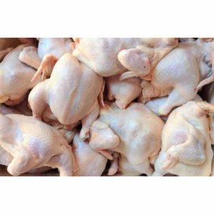 Best Quality Wholesale Price Chickens Frozen ,Frozen Whole Chicken for Sale