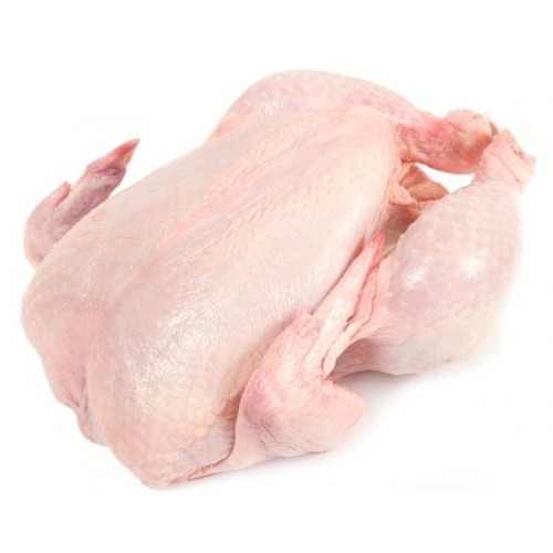 High Quality HALAL Frozen Whole Chicken From Brazilian Wholesale Frozen Chicken Breast From Brazil - Image 5