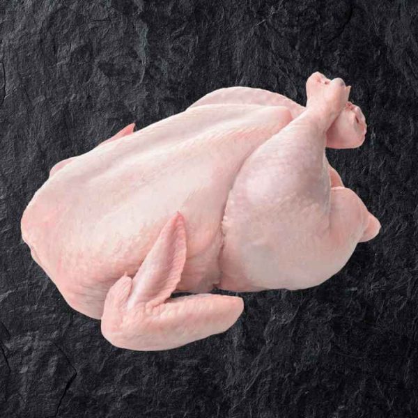 Top Quality Halal Frozen Whole Chicken / Chicken Breast and Paws for Sale Halal Whole Frozen Chicken