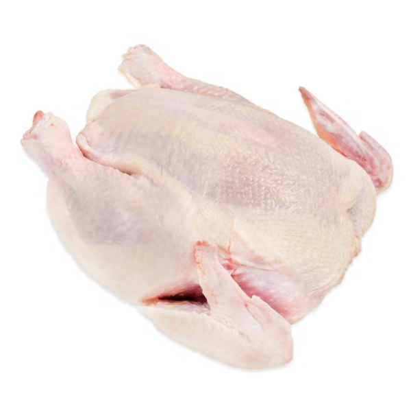Wholesale Chickens Frozen ,Frozen Whole Chicken Cheap price - Image 2