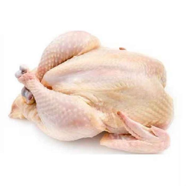 Top Quality Frozen Chickens Skinless Frozen Chicken for Wholesales Price - Image 2