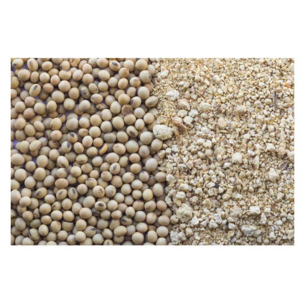 Protein Bulk Poultry Feed Food Grade Soybean Production Line Full Fat Soybean Meal For Chickens Sale - Image 3