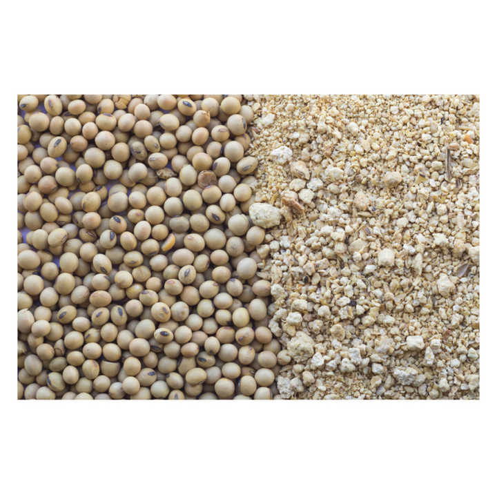 Protein Bulk Poultry Feed Food Grade Soybean Production Line Full Fat Soybean Meal For Chickens Sale - Image 3