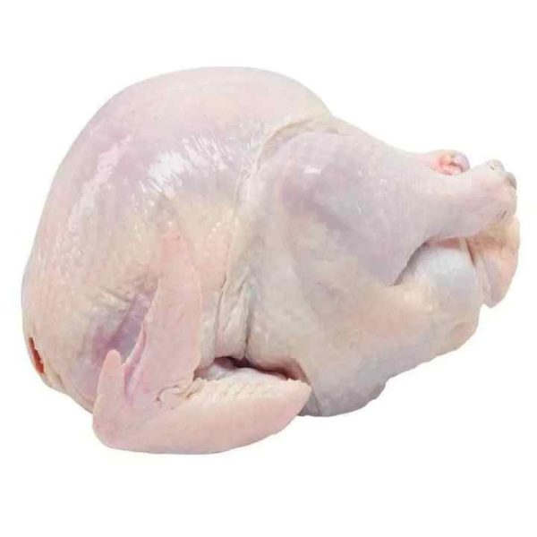 Best Selling Premium Supplier Halal Frozen Whole Chicken Halal Chicken Processed Meat in Wholesale Price - Image 2