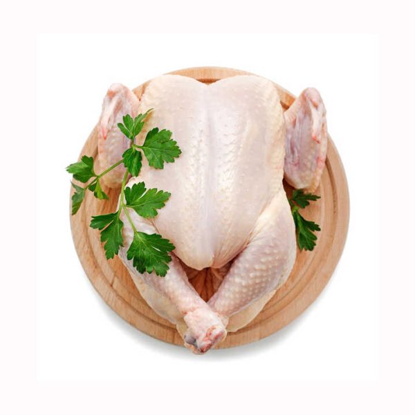 / Frozen Whole Chicken / Frozen Chicken Legs and Wings Top Quality Halal Frozen Whole Chicken / Breast and Paws - Image 2