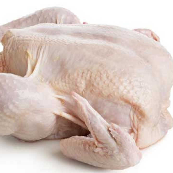 Top Brazilian / High Quality Halal Frozen Whole Chicken | Wholesale Halal Frozen Whole Chicken for Sale - Image 5