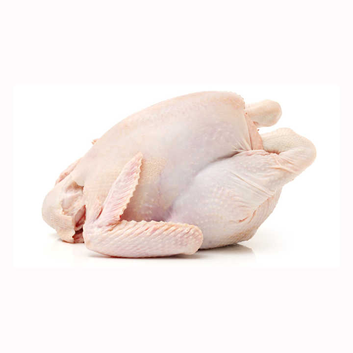 packaging Chicken Parts & Whole Chickens for Sale | US Wellness Meats!! Premium Grade Halal Frozen Whole Chicken - Image 4