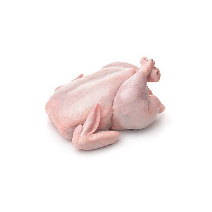 Frozen Whole Chicken / Frozen Chicken for sale Wholesale halal frozen whole chicken with and without giblets body style - Image 2