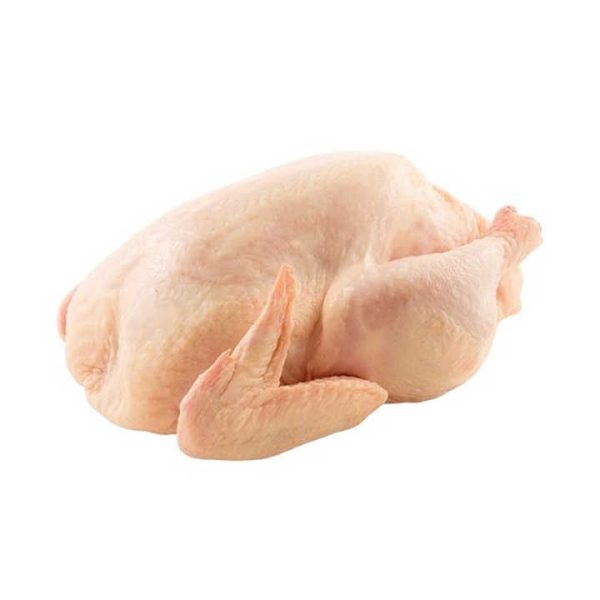 For Sale QUALITY HALAL WHOLE FROZEN CHICKEN FROM BRAZIL Top Quality Frozen Chicken Feet Paws Breast / Frozen Whole Chicken - Image 4
