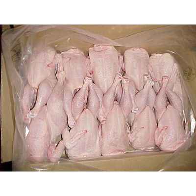 High Quality Frozen Grade a Halal Whole Chicken and Chicken Parts Top Selling Premium Halal Frozen Whole Chicken - Image 5