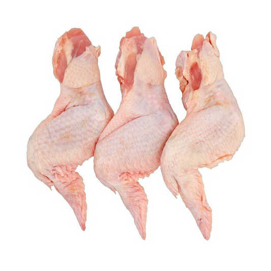 Frozen Chicken Wings / Chicken Feet / Frozen Whole Halal Chicken Meat For sale certified well cleaned frozen chicken