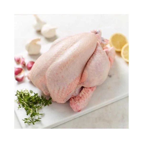 Premium Grade Fresh Frozen Chicken in a Best Rate Wholesale Chickens Frozen Poultry Meat Whole Chicken Halal Whole Frozen Chick - Image 2