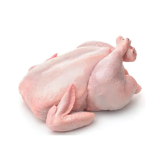 HALAL Frozen Whole Chicken and Chicken Cuts Breast Fresh Grade Premium for Export - Image 5
