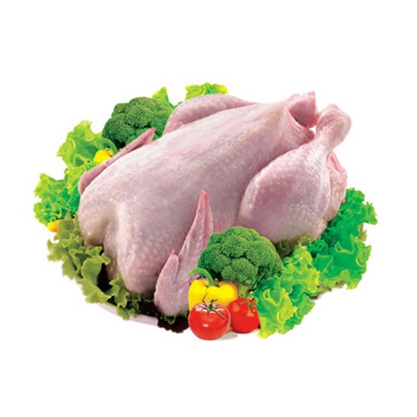 For Sale QUALITY HALAL WHOLE FROZEN CHICKEN FROM BRAZIL Top Quality Frozen Chicken Feet Paws Breast / Frozen Whole Chicken - Image 3