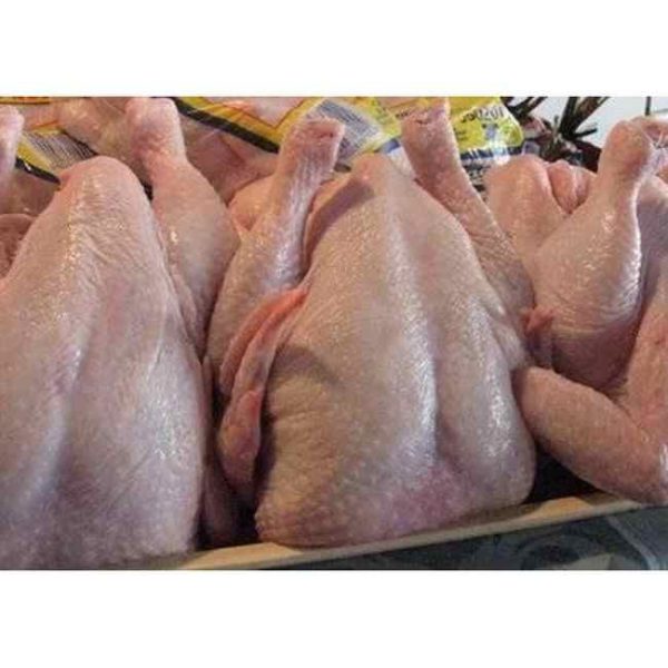 Best Selling Premium Supplier Halal Frozen Whole Chicken Halal Chicken Processed Meat in Wholesale Price - Image 6