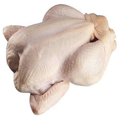 High Quality HALAL Frozen Whole Chicken From Brazilian Wholesale Frozen Chicken Breast From Brazil - Image 6