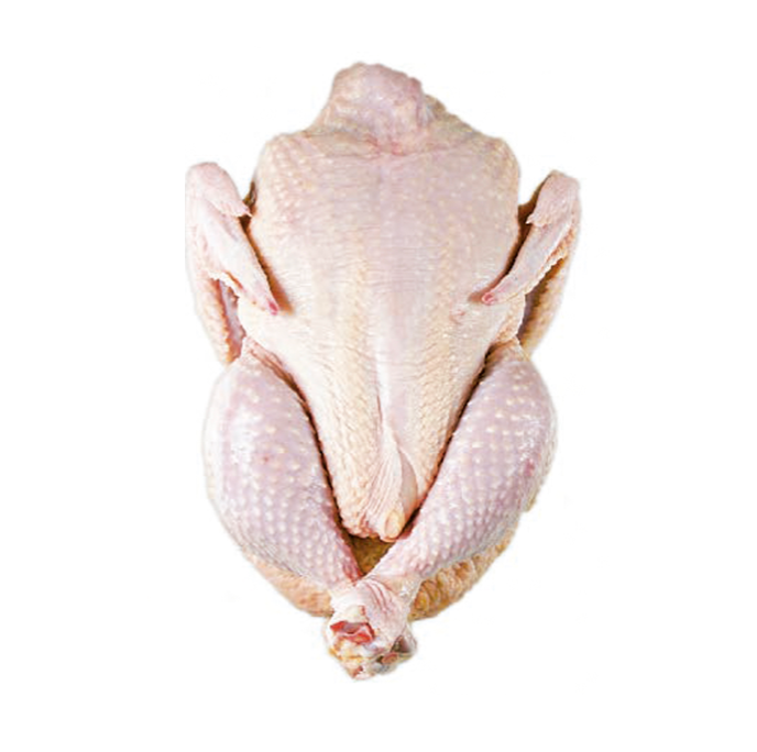 HALAL Frozen Whole Chicken and Chicken Cuts Breast Fresh Grade Premium for Export