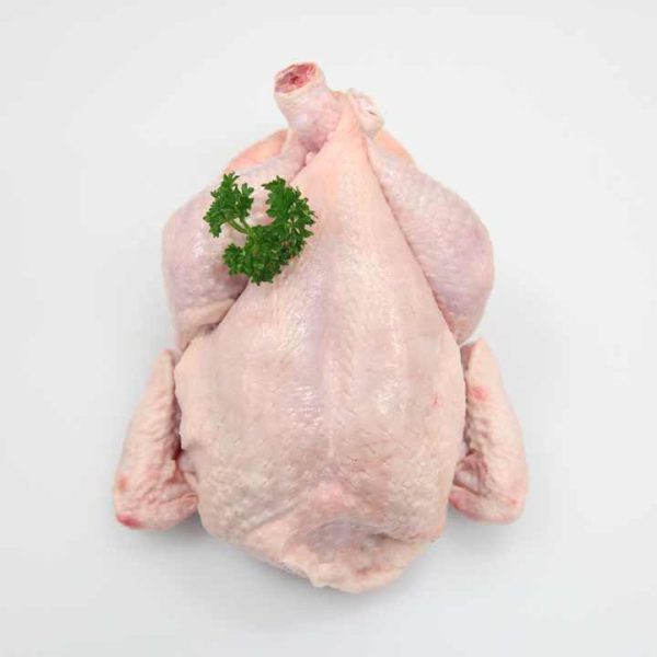 Brazil Halal Frozen Whole Chicken - Image 4