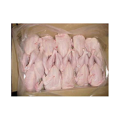 High Quality HALAL Frozen Whole Chicken From Brazilian Wholesale Frozen Chicken Breast From Brazil - Image 6