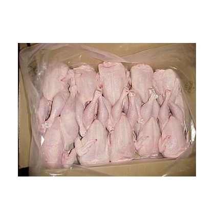 Best Price Halal Frozen Whole Chicken | Frozen Chicken Whole and Parts Bulk Stock Available - Image 2