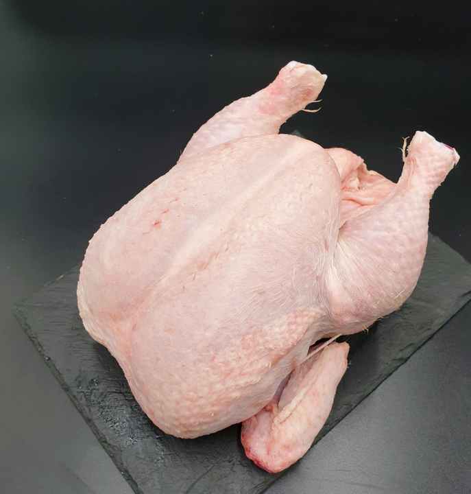 Top Selling Grade High Quality Fresh Frozen Whole Chicken Poultry Meat Frozen Whole Chicken From Brazil - Image 6
