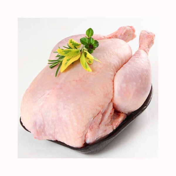 whole chicken ckj Hot sale Frozen Whole Chicken Premium Supplier Halal Frozen Whole Chicken Halal Processed Meat from Brazil - Image 5