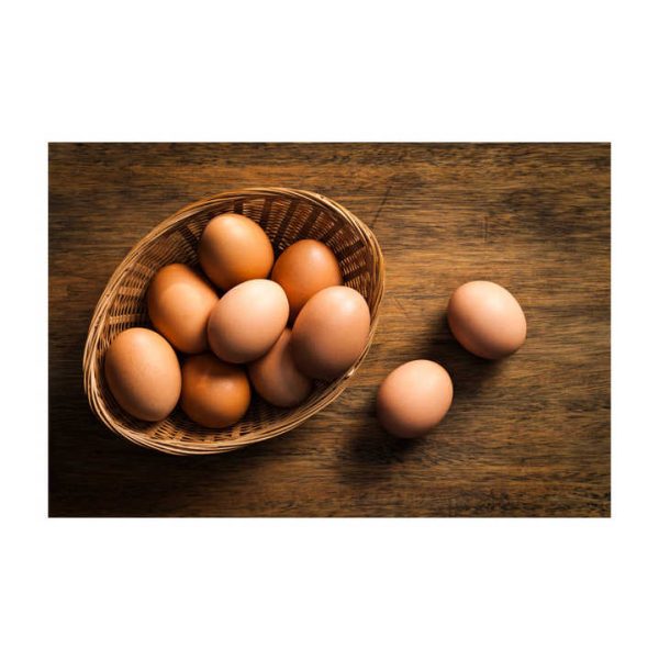 Fresh Table Eggs From Farm-Raised Chickens Protein Rich Chicken Table Eggs Direct White Supplier