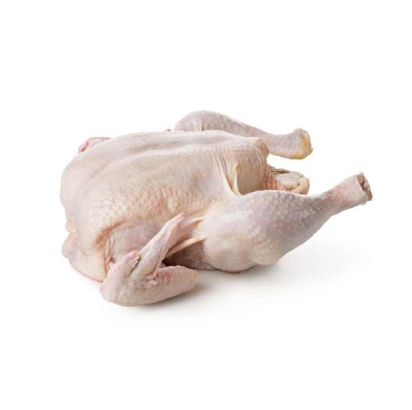 100% Quality Guaranteed Halal Frozen Whole Chicken 800g/900g/1000g/1100g/1300g/2000g - Image 3