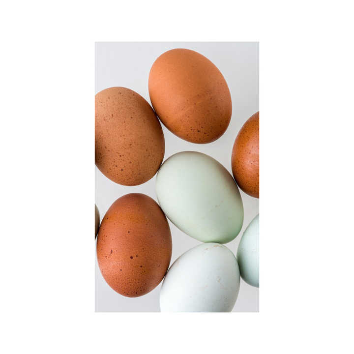 Best Quality Fresh Brown Table Chicken Eggs Cheap Fresh Chicken Table Eggs Fresh Chicken in bulk Brown Eggs from Brazil - Image 3