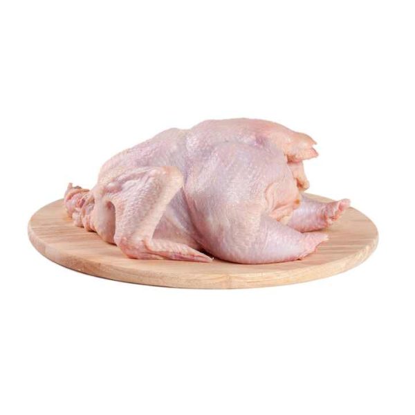 100% Quality Guaranteed Halal Frozen Whole Chicken 800g/900g/1000g/1100g/1300g/2000g - Image 6