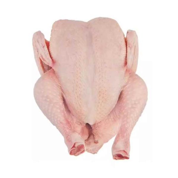 Premium Grade Halal Frozen Whole Chicken Brazilian Quality Halal Frozen Whole Chicken and Parts Halal Frozen Whole Chick