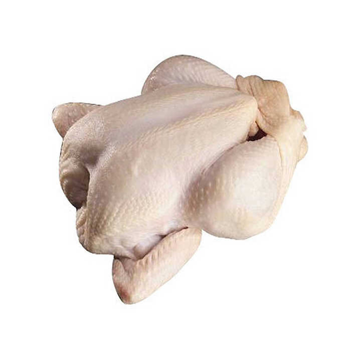 Wholesale halal frozen whole chicken with and without giblets body chicken style packaging Premium Grade Halal - Image 5