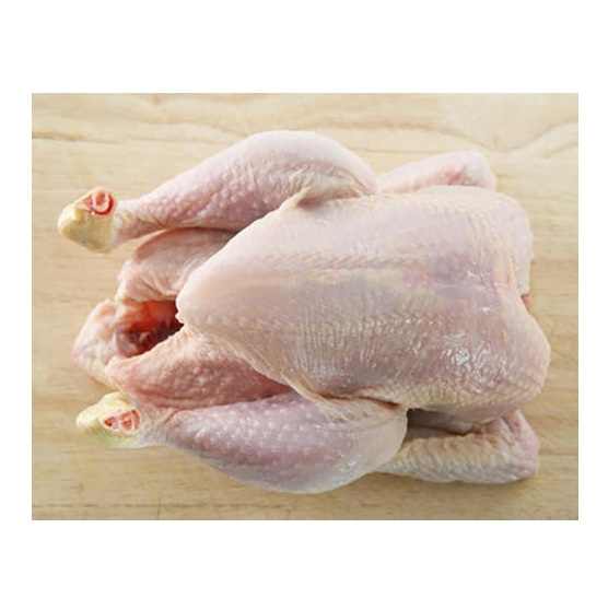 BRAZIL HALAL FROZEN WHOLE CHICKEN FROZEN CHICKEN PAWS FROZEN PROCESSED CHICKEN - Image 3