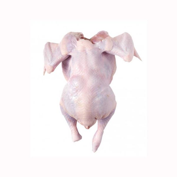 Halal Whole Frozen Chicken for Sale Discount Rate Halal Whole Chicken, Brazil Frozen Whole Chicken Suppliers, Frozen Whole - Image 6
