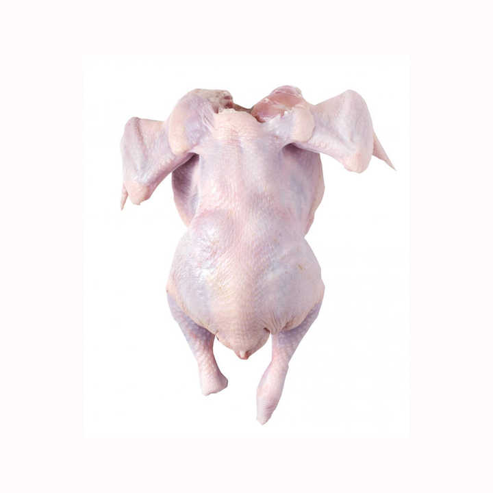 Halal Whole Frozen Chicken for Sale Discount Rate Halal Whole Chicken, Brazil Frozen Whole Chicken Suppliers, Frozen Whole - Image 6