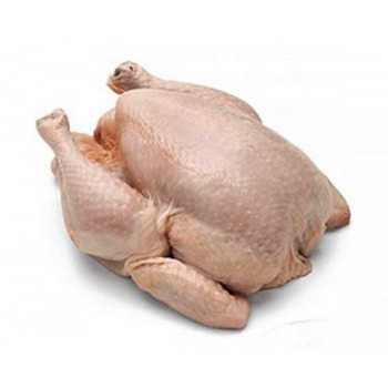 High Quality / Top Brazilian / Best Quality Healthy and Natural Whole Chicken Halal Frozen Whole Chicken From Turkey Poultry Meat Chicken with Customize Pack - Image 2