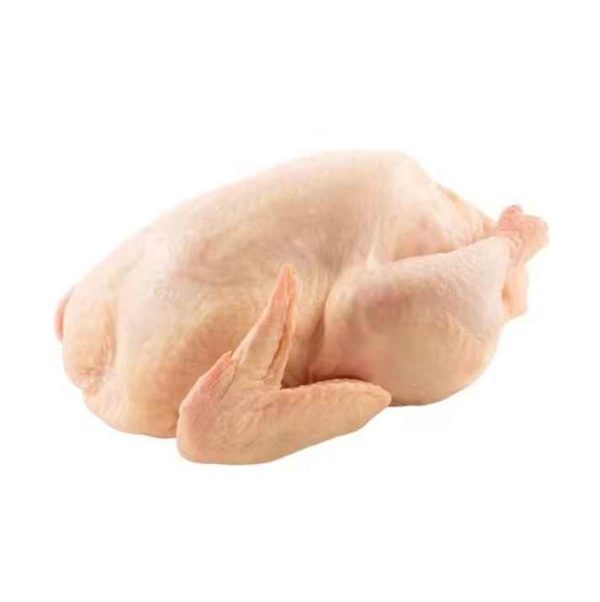 Premium Grade Halal Frozen Whole Chicken Brazilian Quality Halal Frozen Whole Chicken and Parts Halal Frozen Whole Chick - Image 5