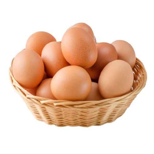 Fresh Table Eggs From Farm-Raised Chickens Protein Rich Chicken Table Eggs Direct White Supplier - Image 5