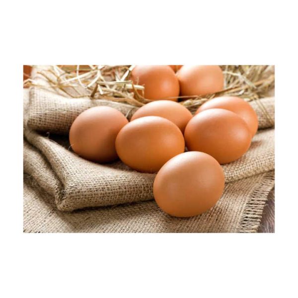 Fresh Table Eggs From Farm-Raised Chickens Protein Rich Chicken Table Eggs Direct White Supplier - Image 4