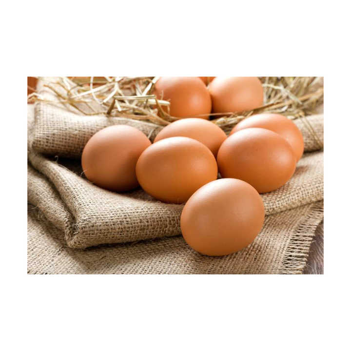 Fresh Table Eggs From Farm-Raised Chickens Protein Rich Chicken Table Eggs Direct White Supplier - Image 4